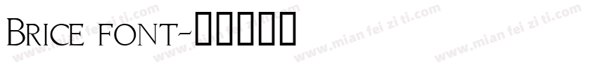 Brice font字体转换